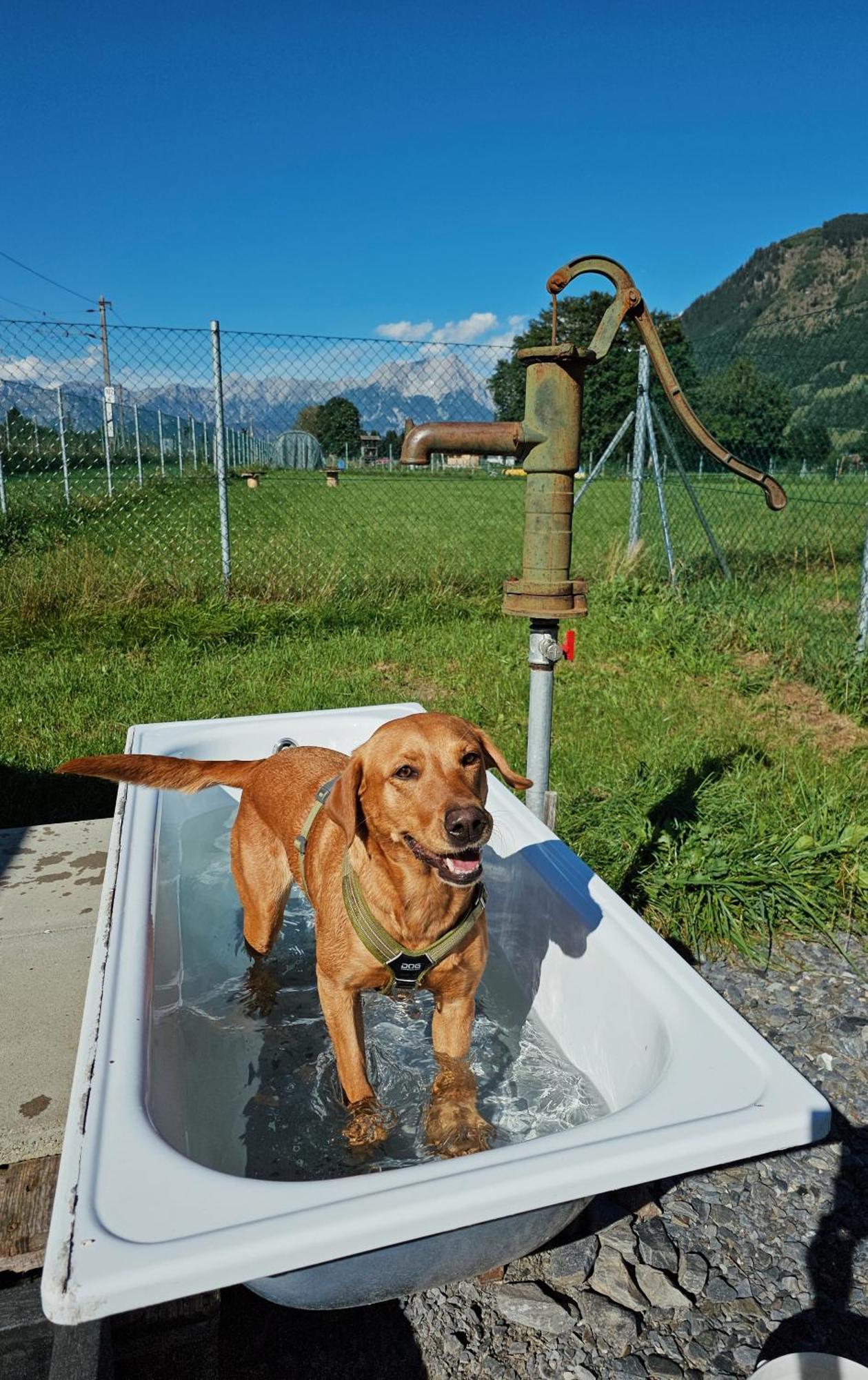 Chaletdorf Zellersee Maishofen Εξωτερικό φωτογραφία